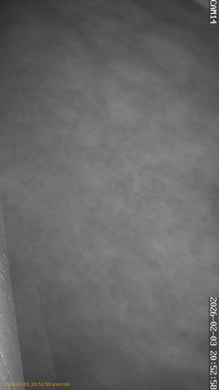 thumbnail_20260203205259