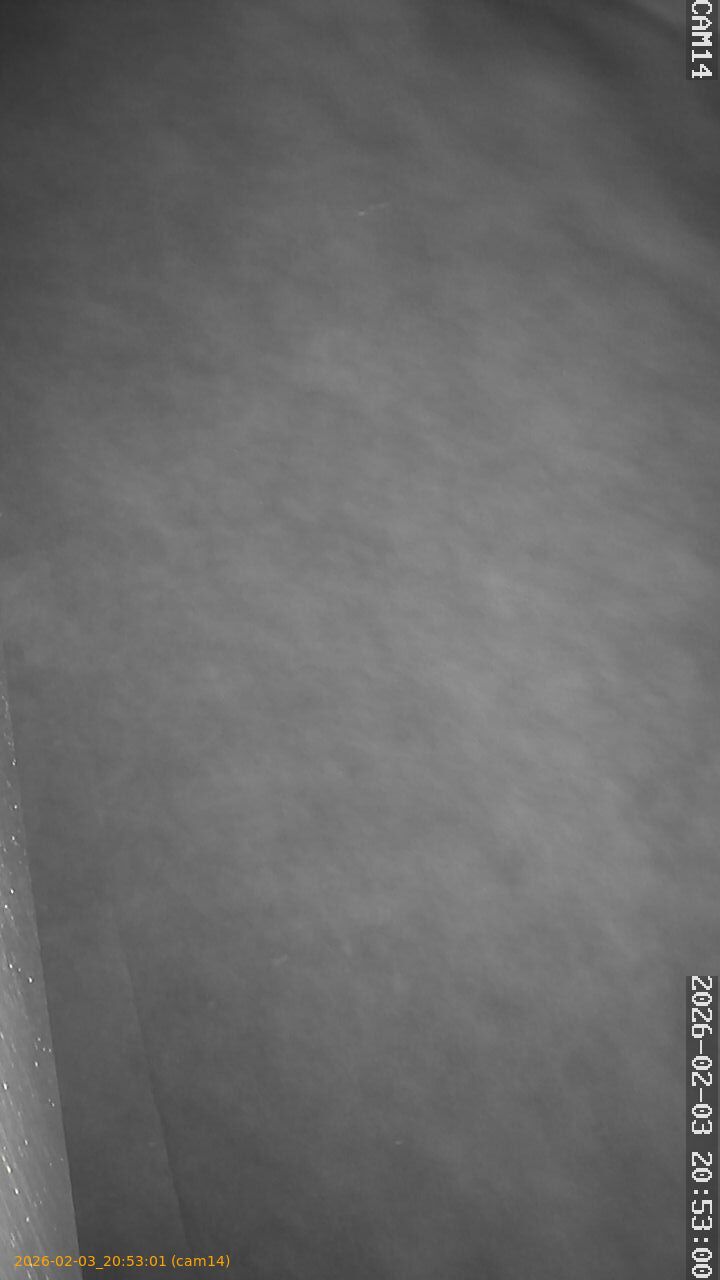 thumbnail_20260203205301