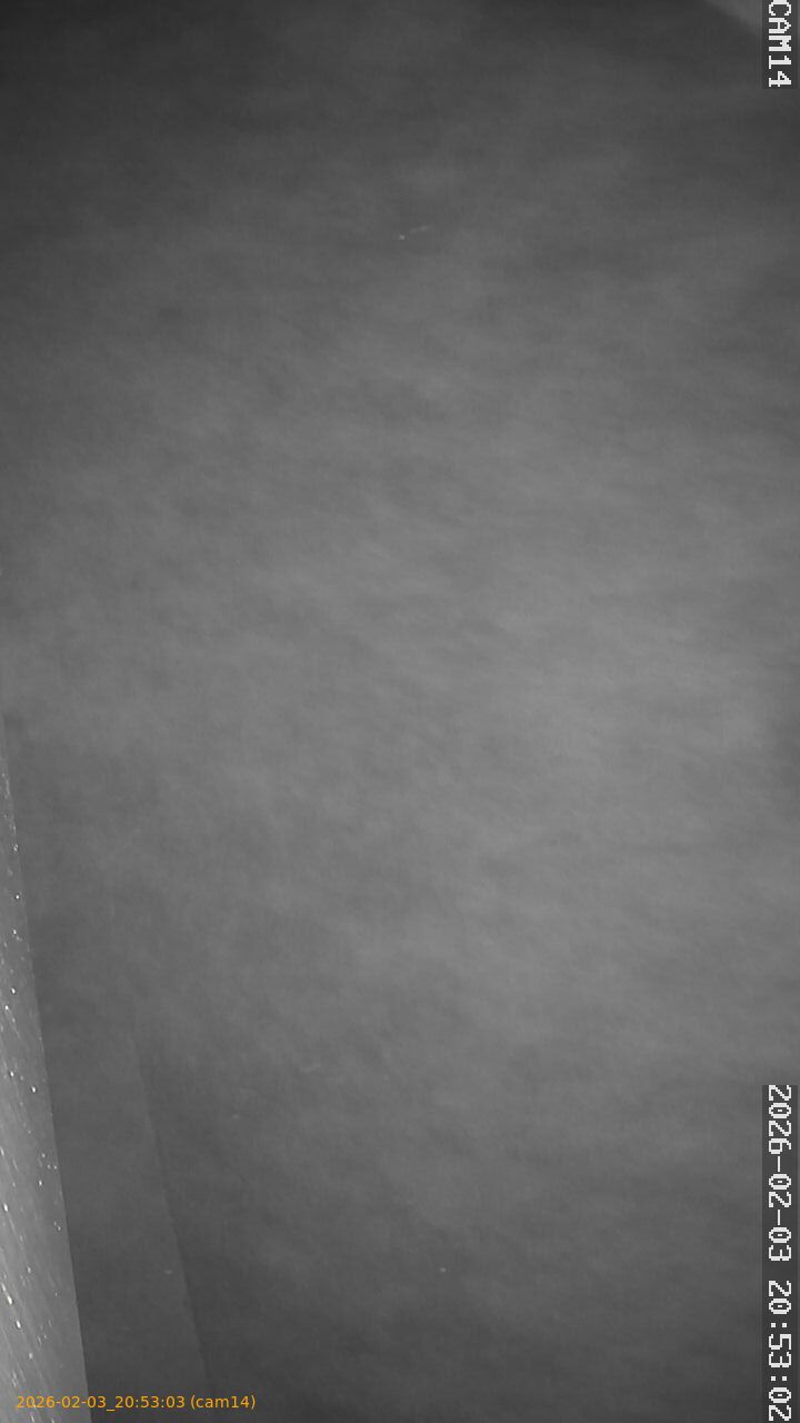 thumbnail_20260203205303