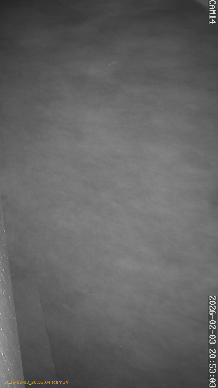 thumbnail_20260203205304