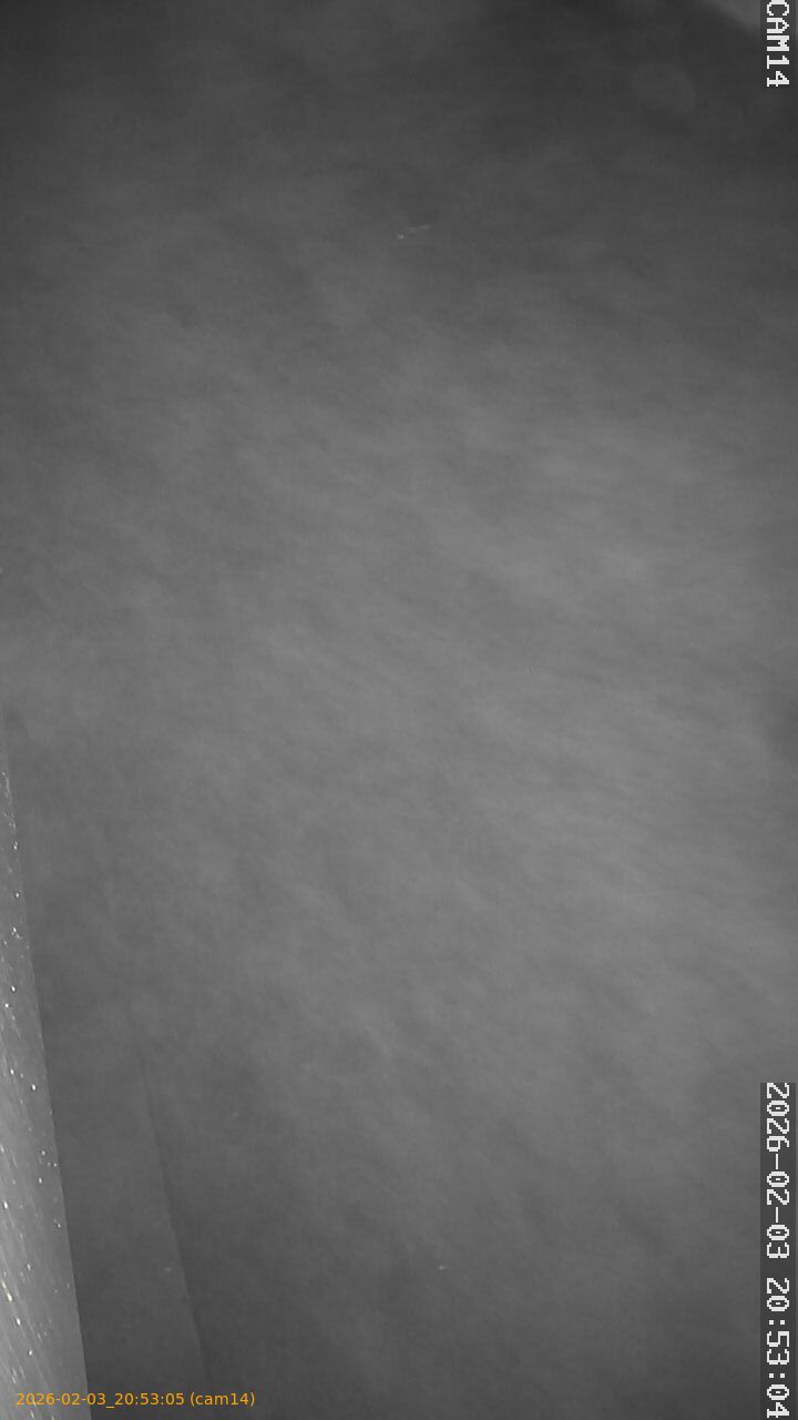 thumbnail_20260203205305