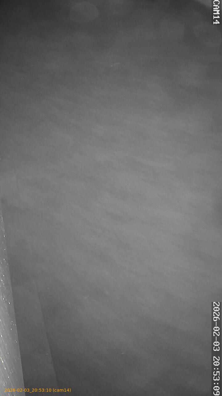 thumbnail_20260203205310