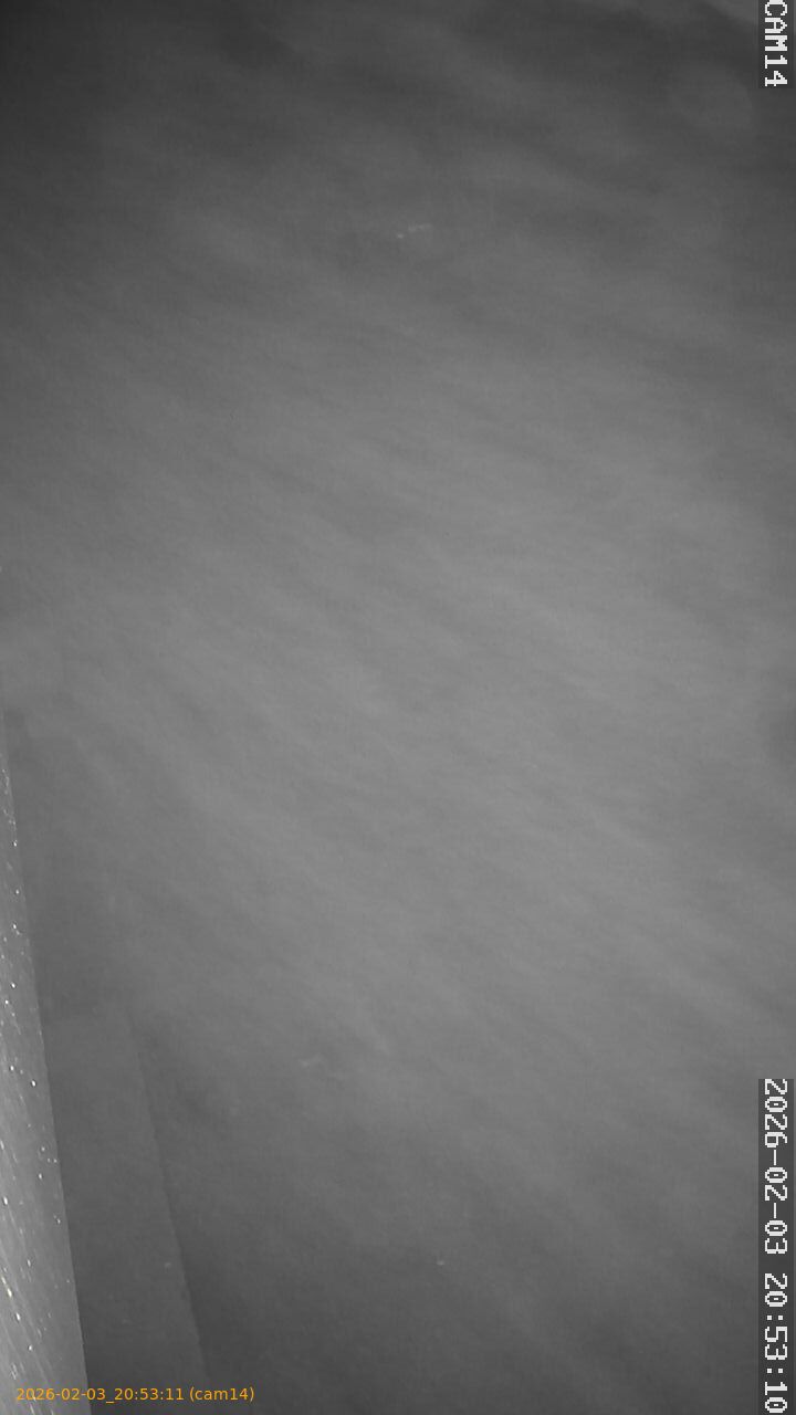 thumbnail_20260203205311