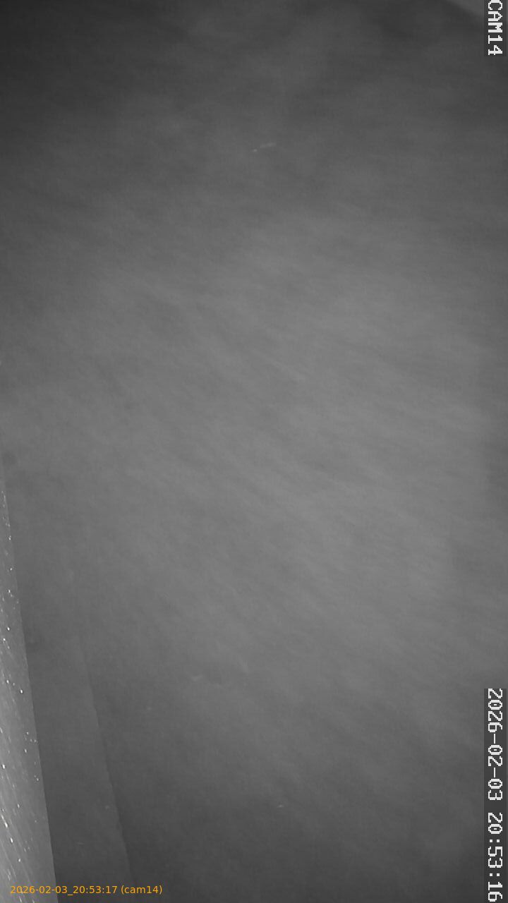 thumbnail_20260203205317