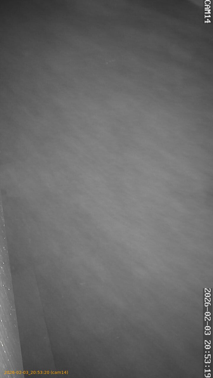 thumbnail_20260203205320