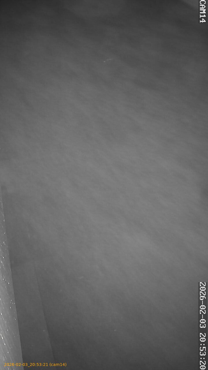 thumbnail_20260203205321