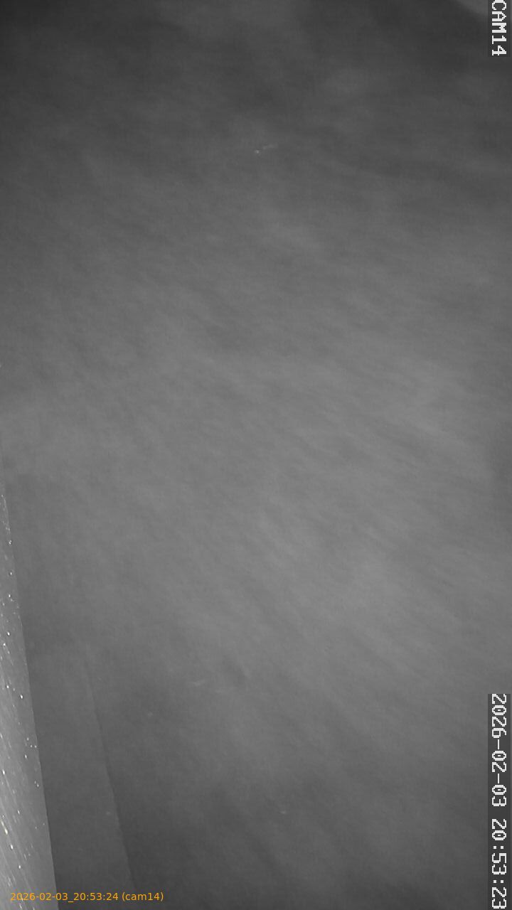 thumbnail_20260203205324