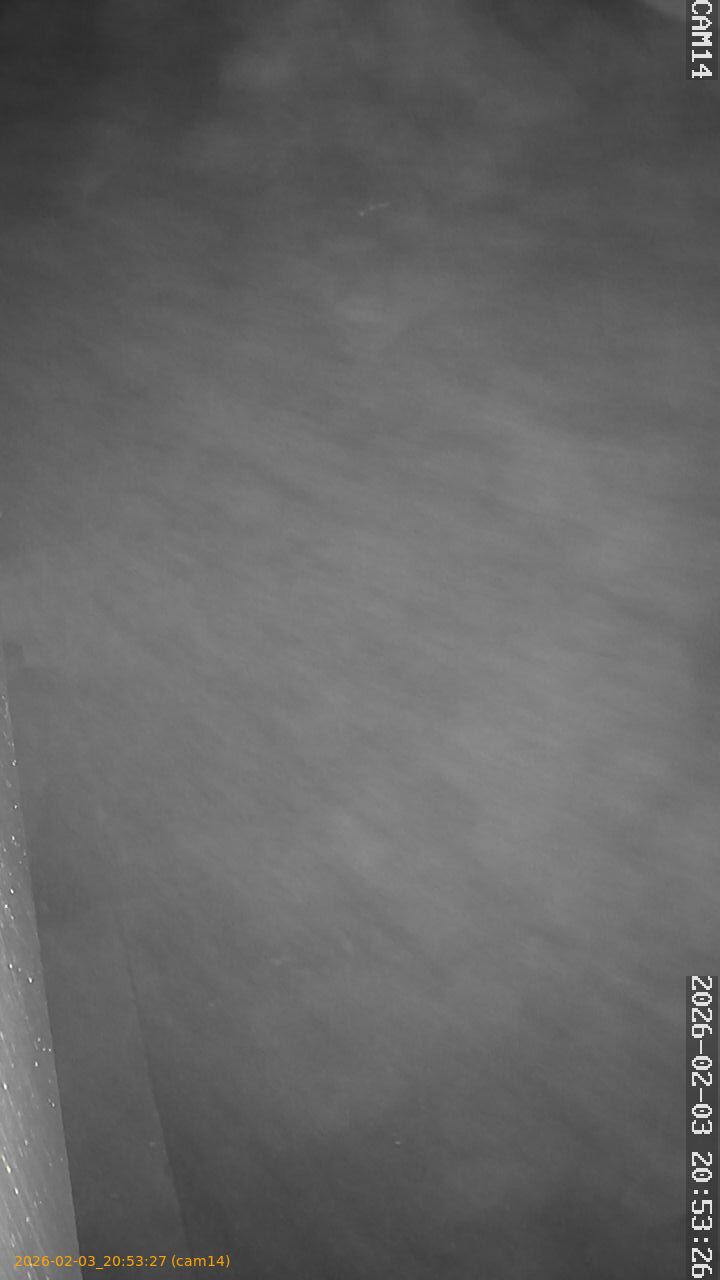 thumbnail_20260203205327