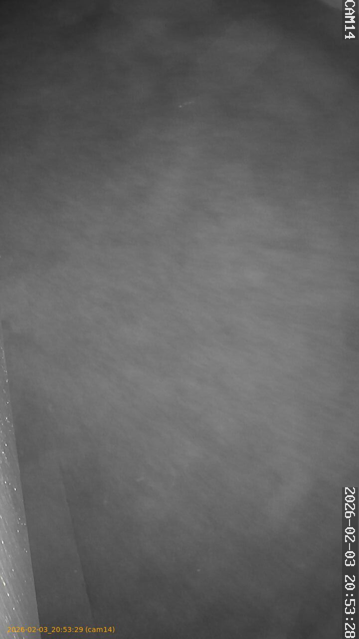 thumbnail_20260203205329