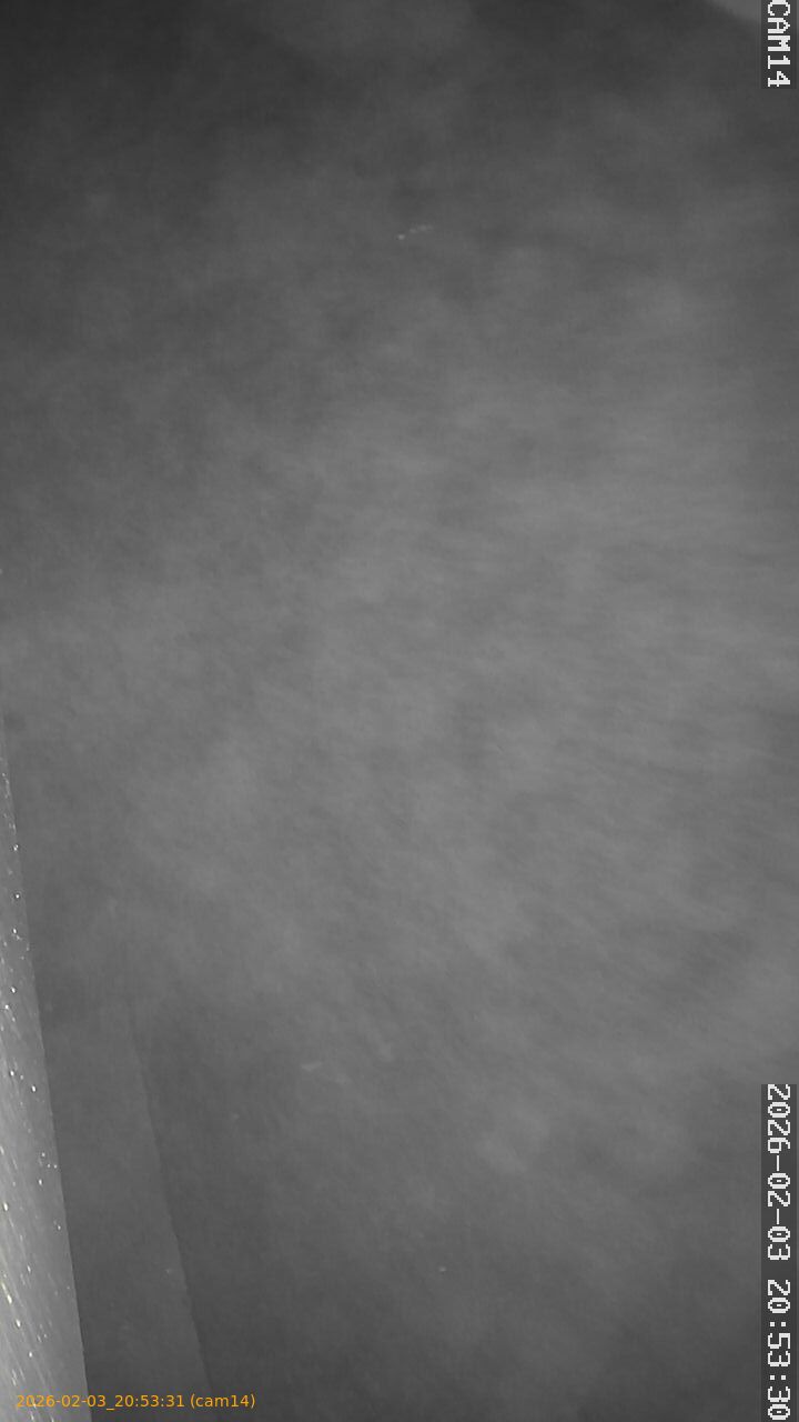 thumbnail_20260203205331