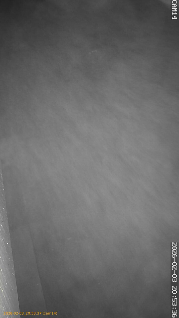 thumbnail_20260203205337