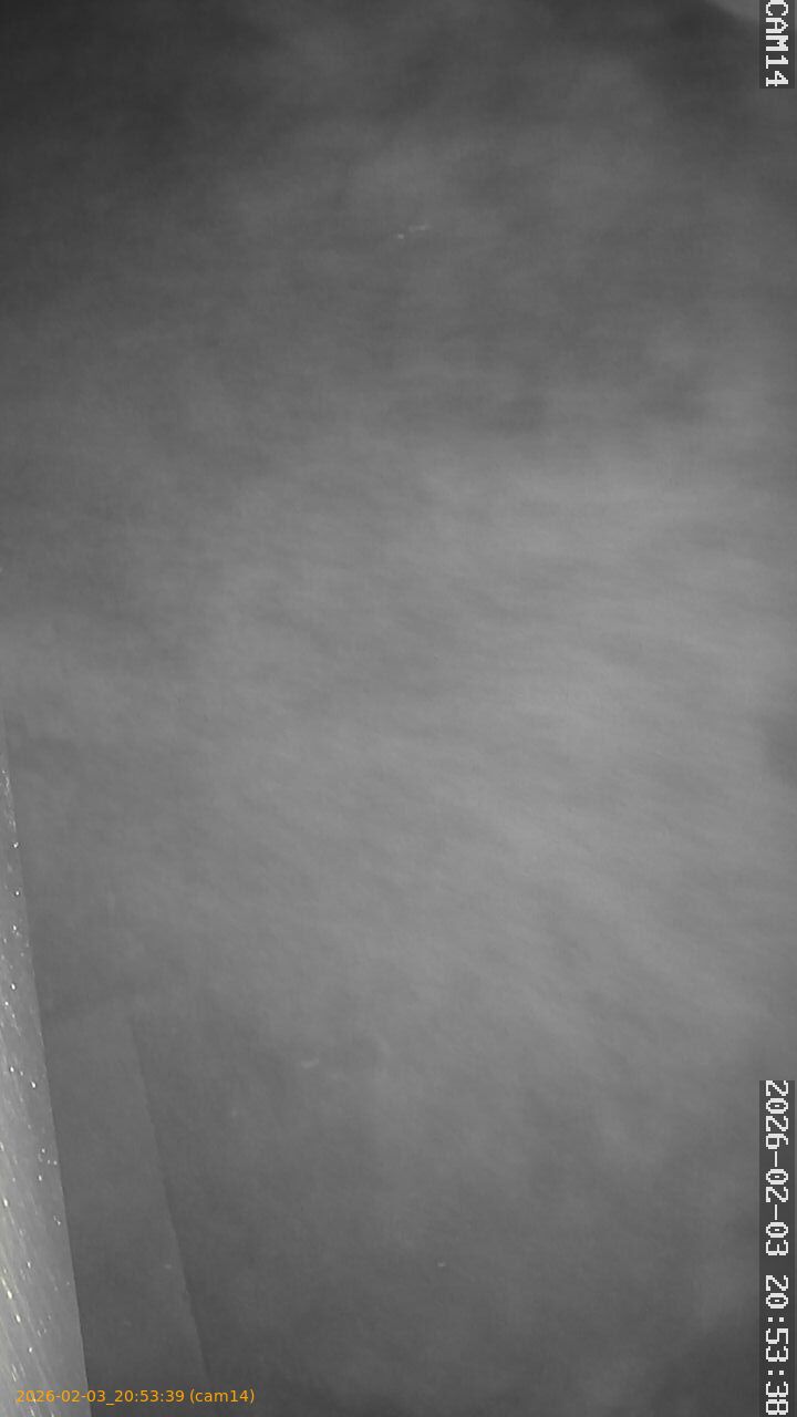 thumbnail_20260203205339