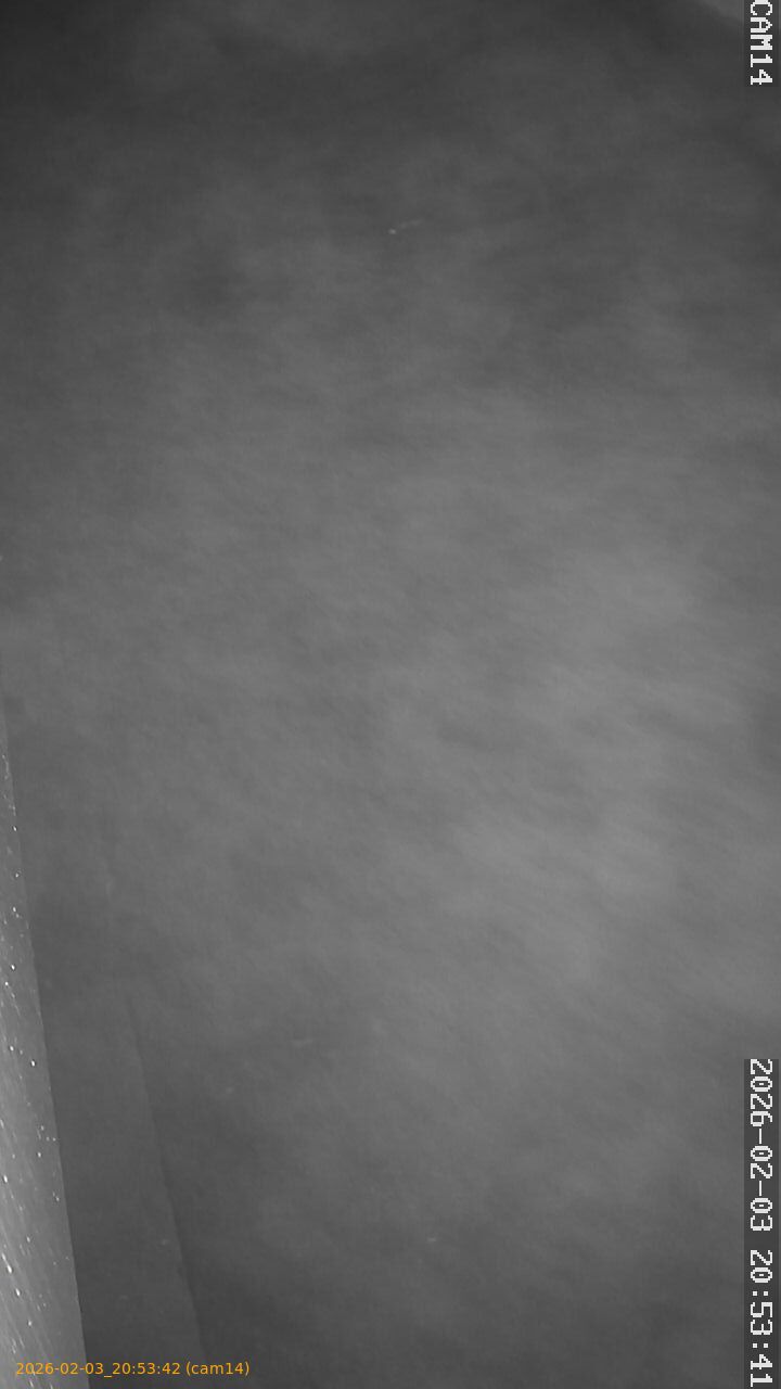 thumbnail_20260203205342