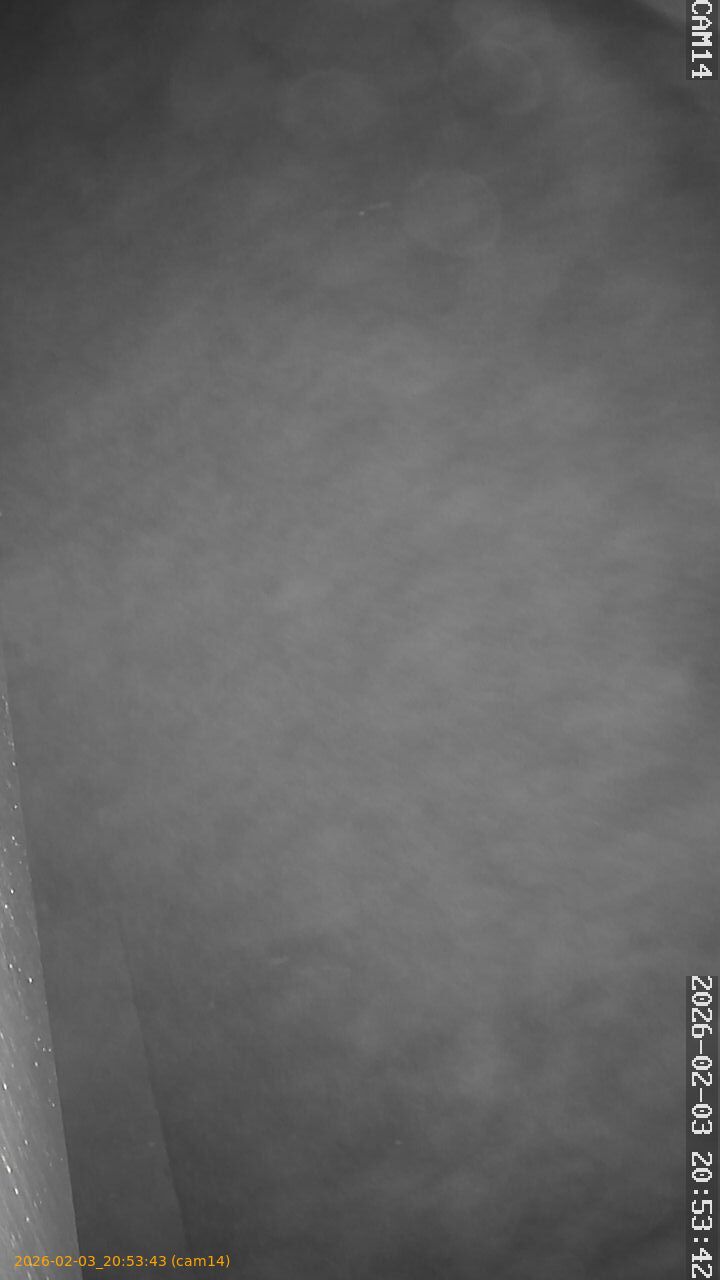 thumbnail_20260203205343