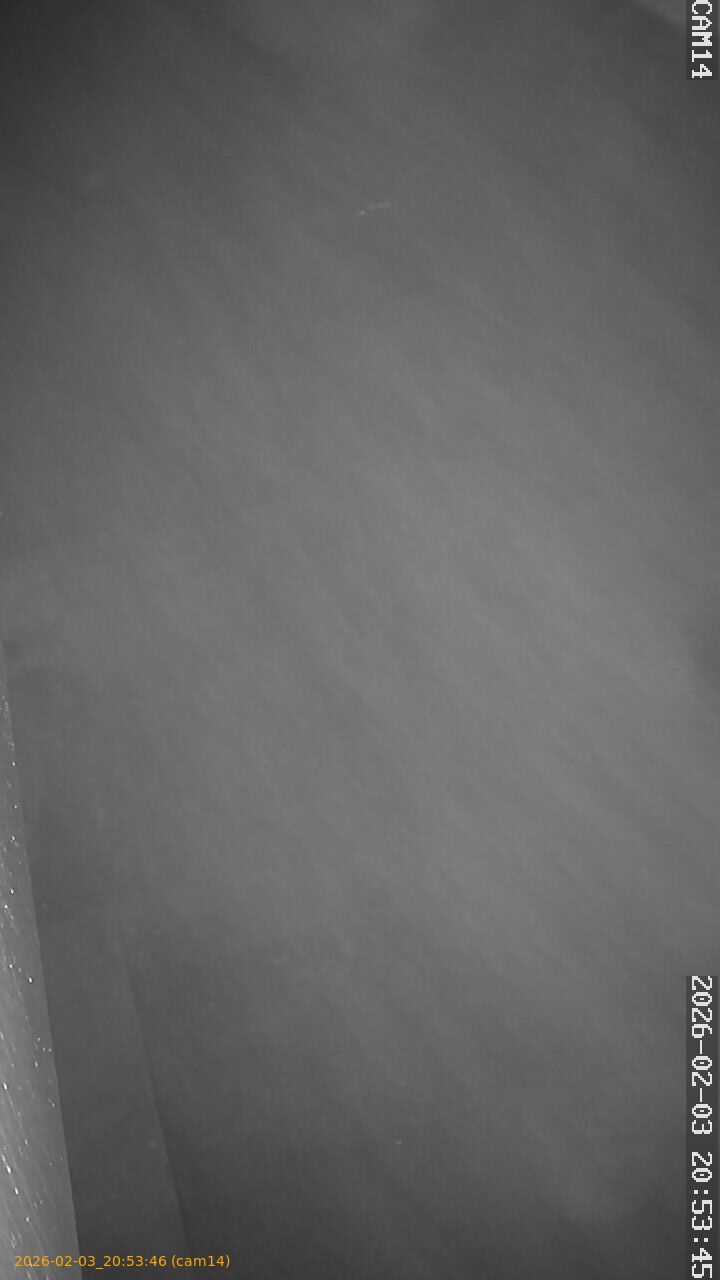 thumbnail_20260203205346