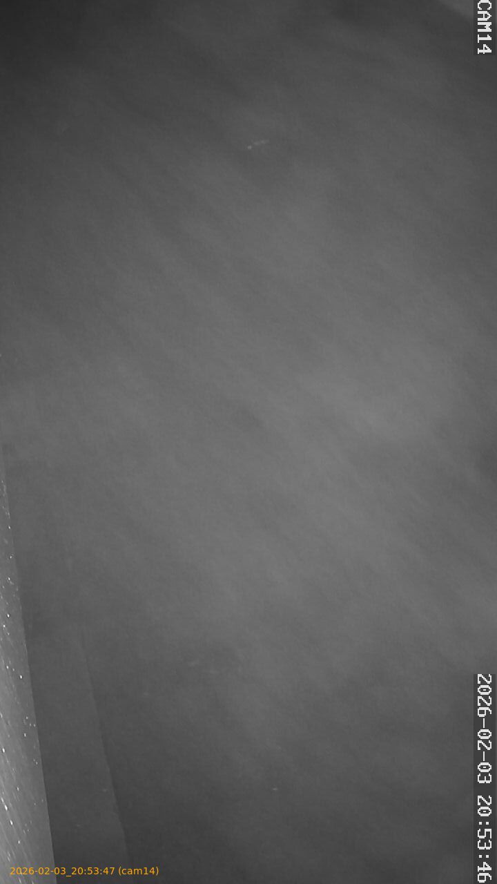 thumbnail_20260203205347