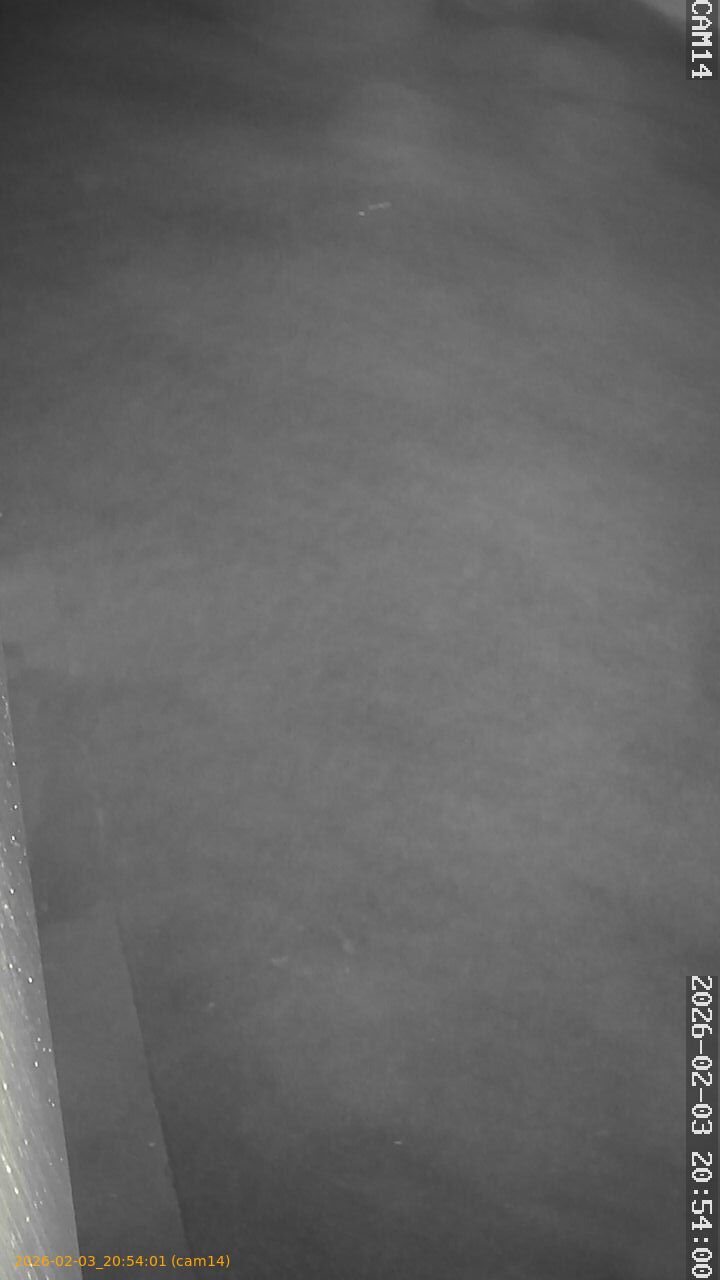 thumbnail_20260203205401