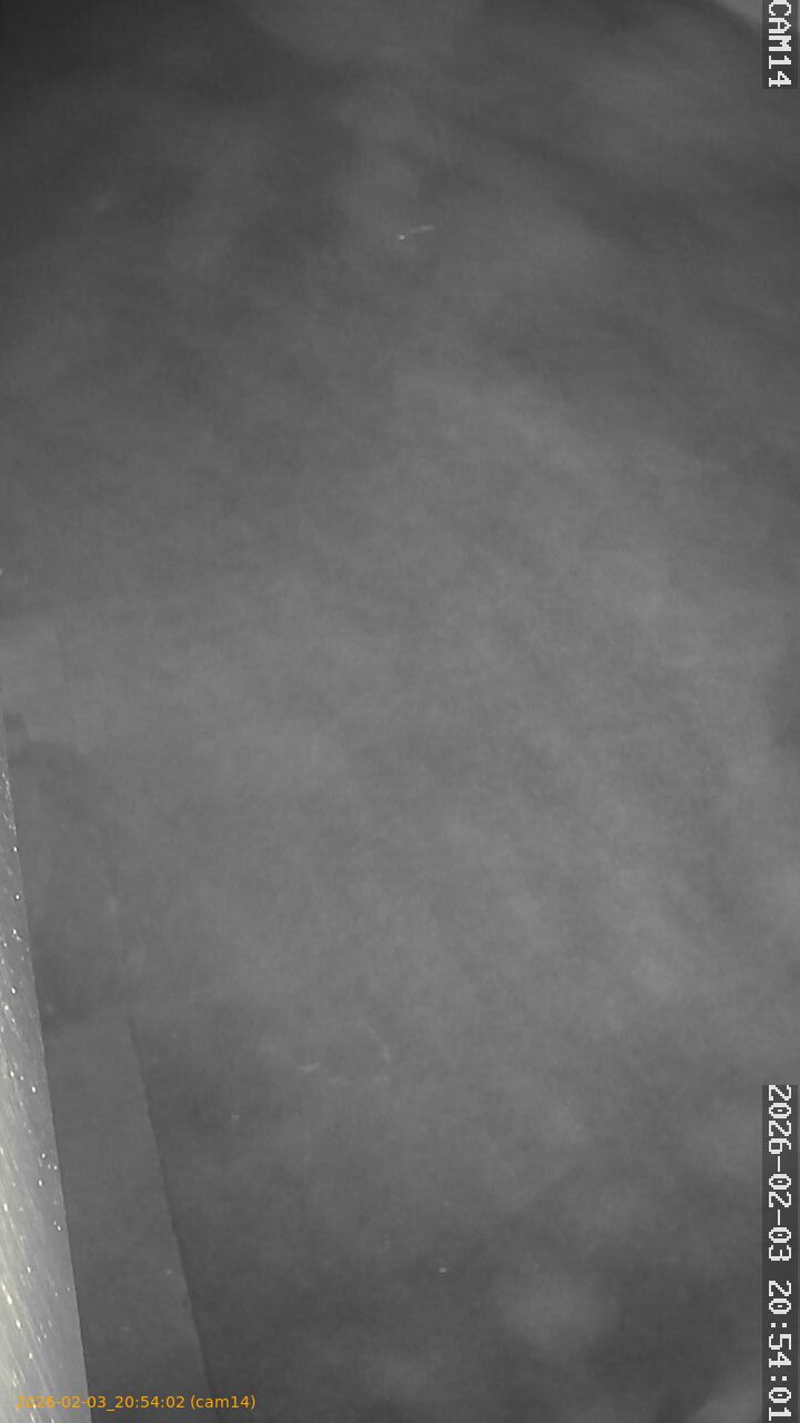 thumbnail_20260203205402