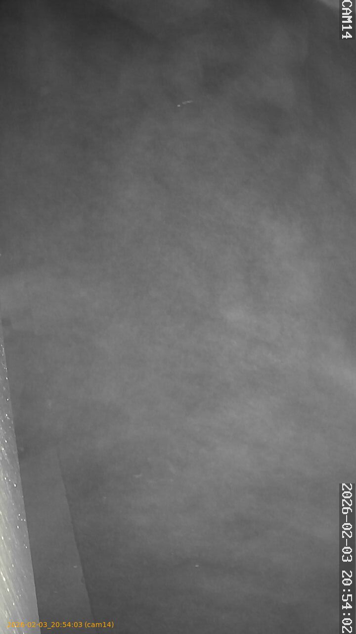 thumbnail_20260203205403