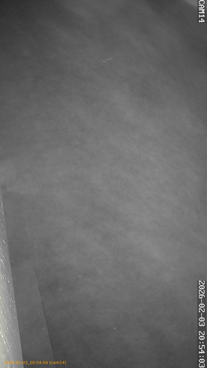 thumbnail_20260203205404