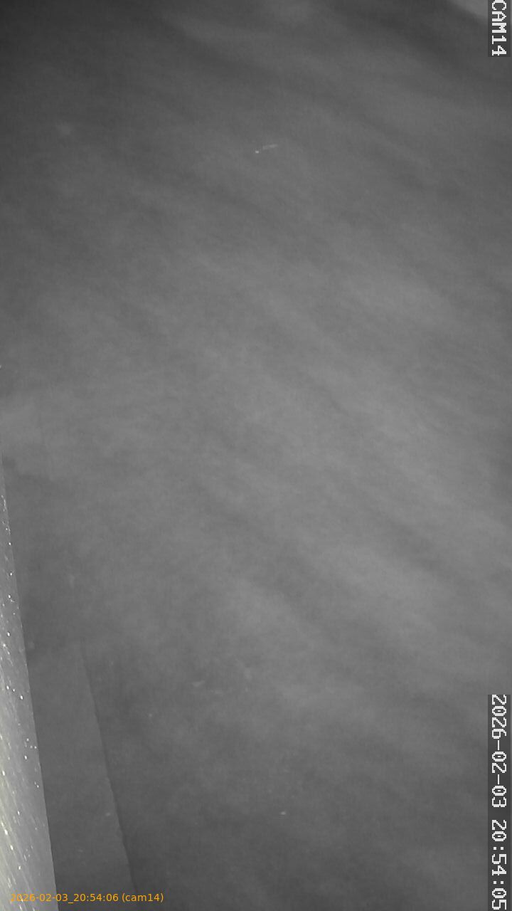 thumbnail_20260203205406