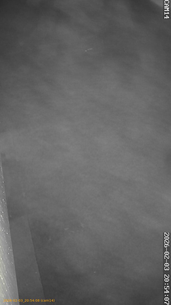 thumbnail_20260203205408