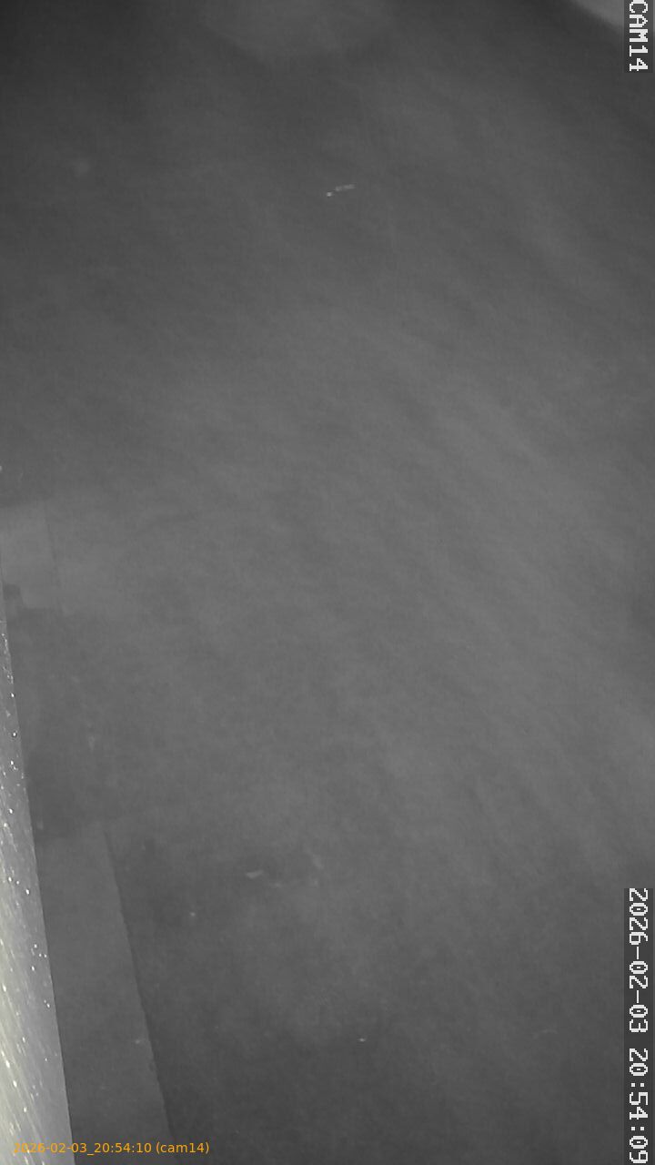 thumbnail_20260203205410