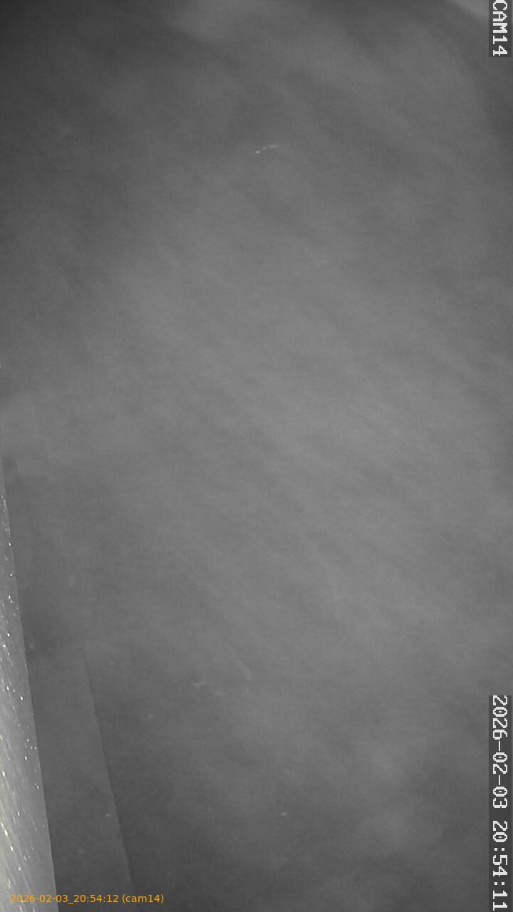 thumbnail_20260203205412