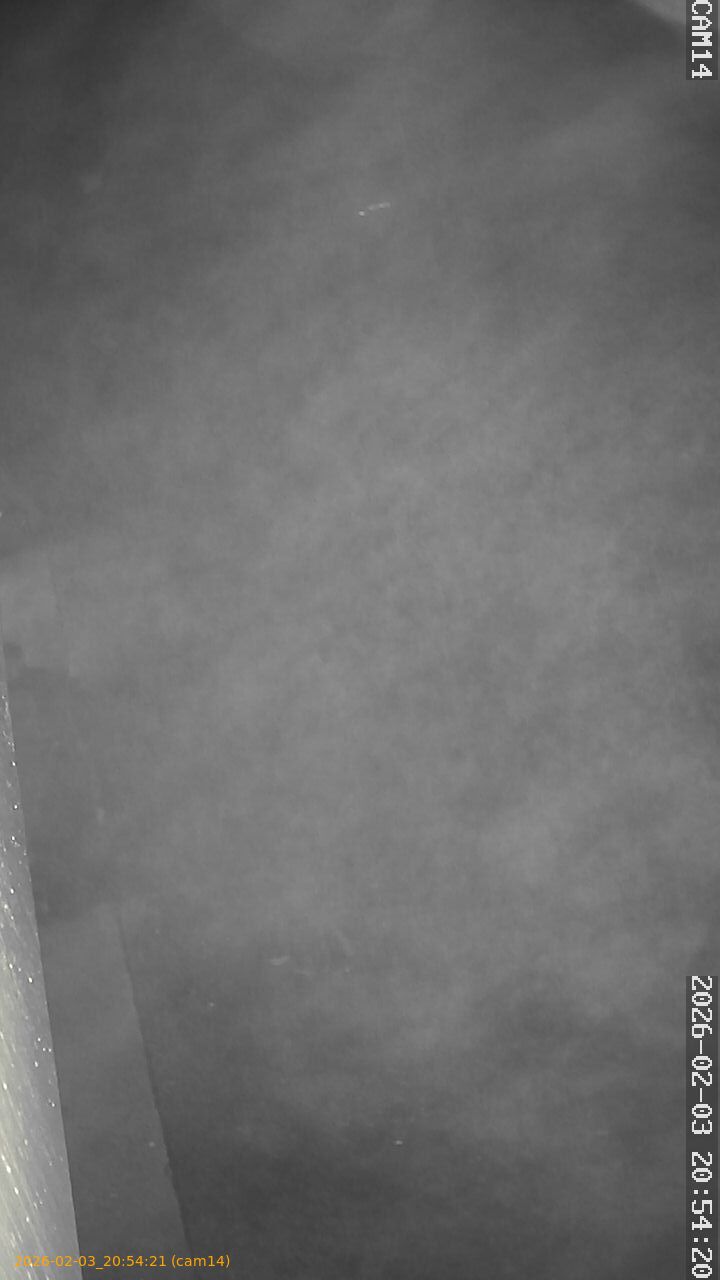 thumbnail_20260203205421