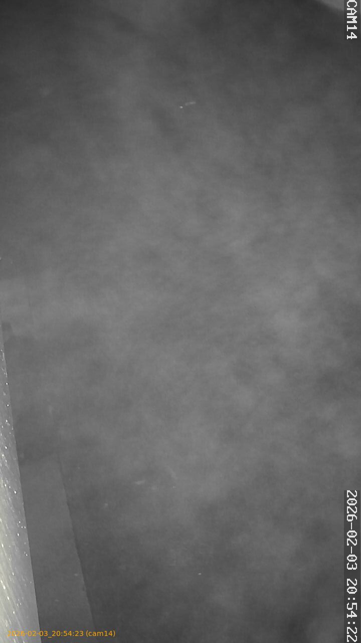 thumbnail_20260203205423