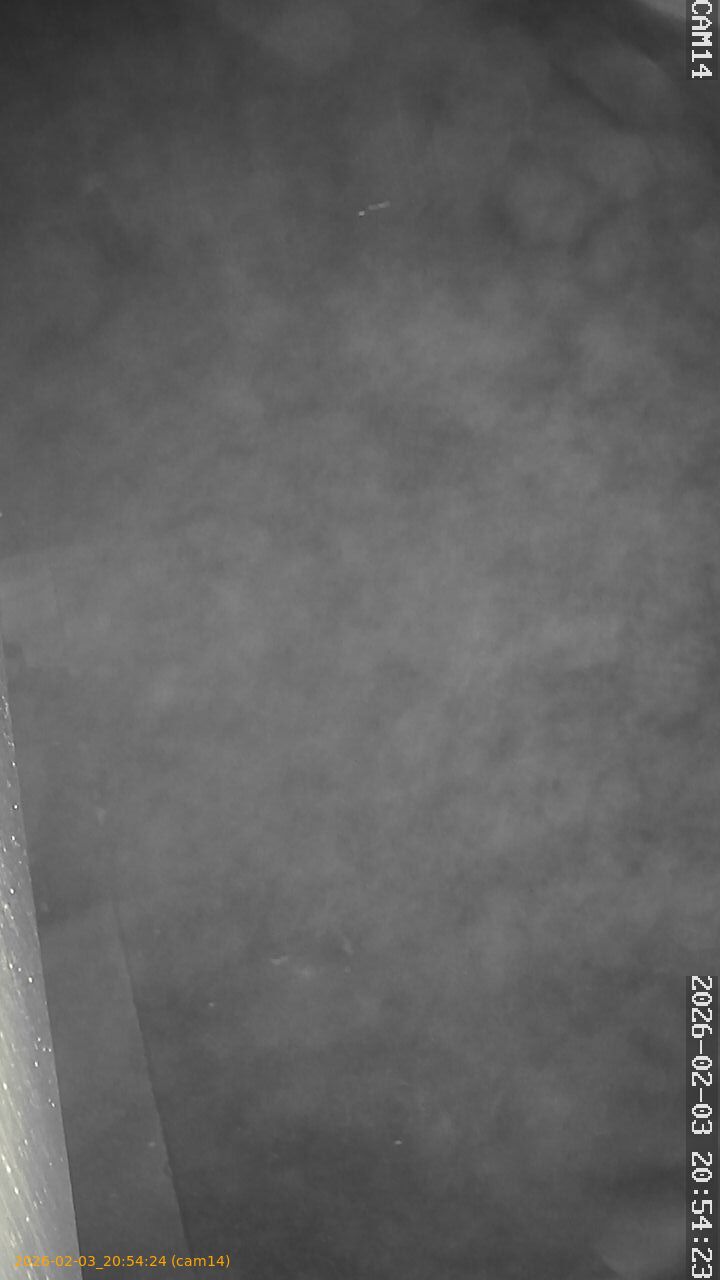 thumbnail_20260203205424