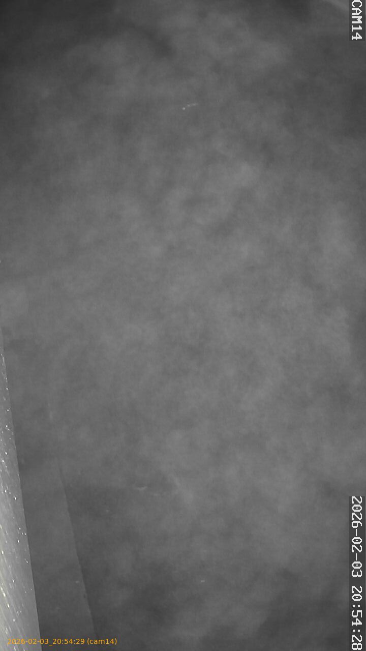 thumbnail_20260203205429