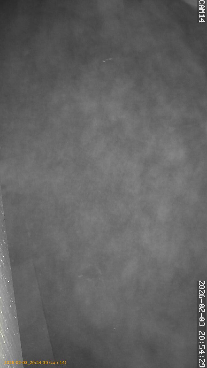 thumbnail_20260203205430