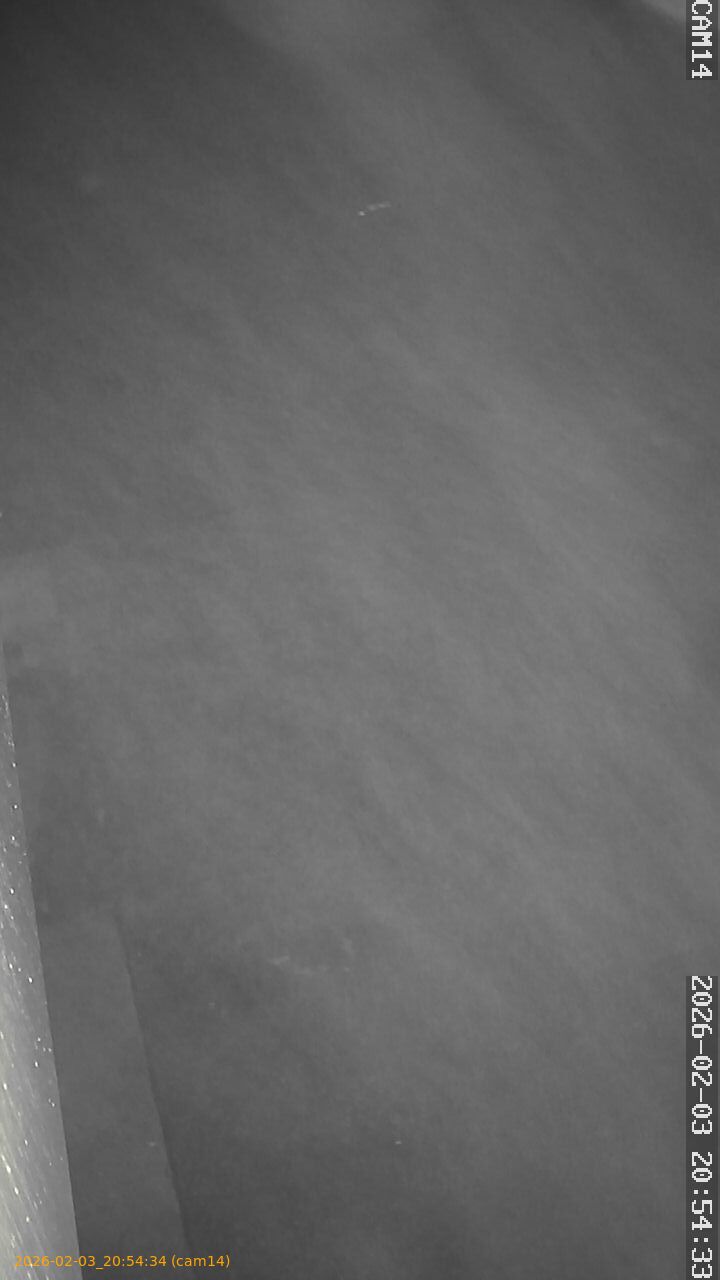 thumbnail_20260203205434