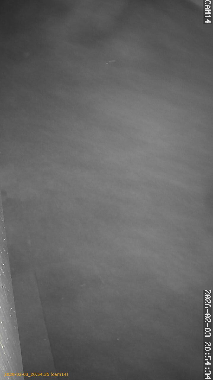 thumbnail_20260203205435