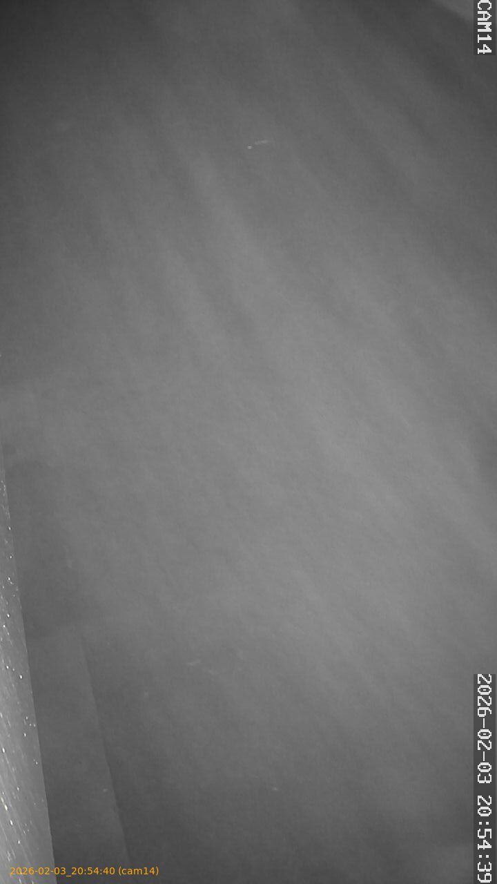 thumbnail_20260203205440