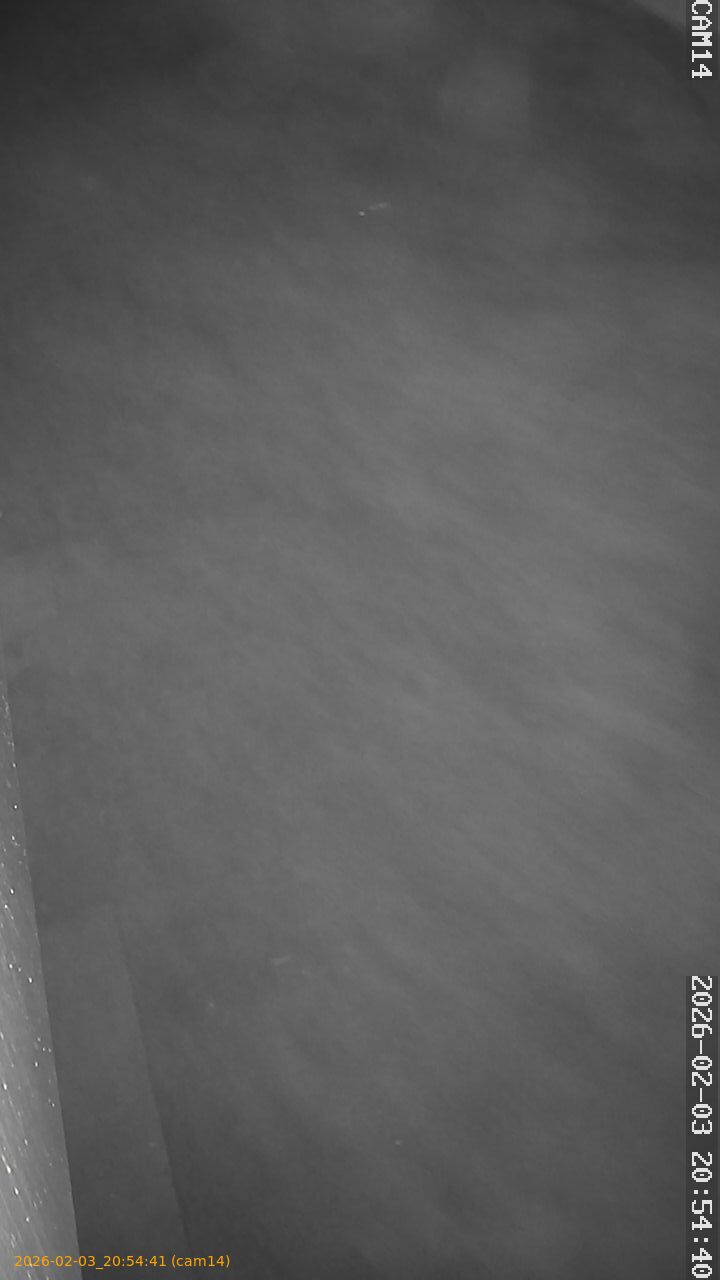 thumbnail_20260203205441