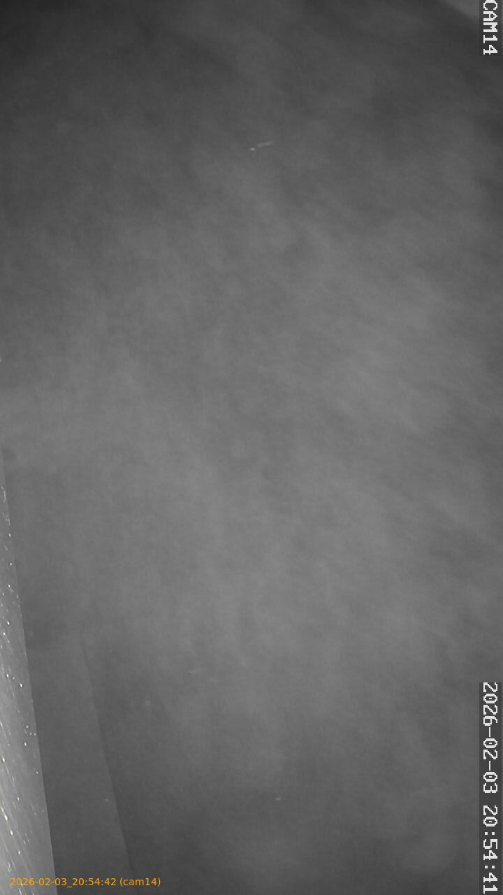 thumbnail_20260203205442