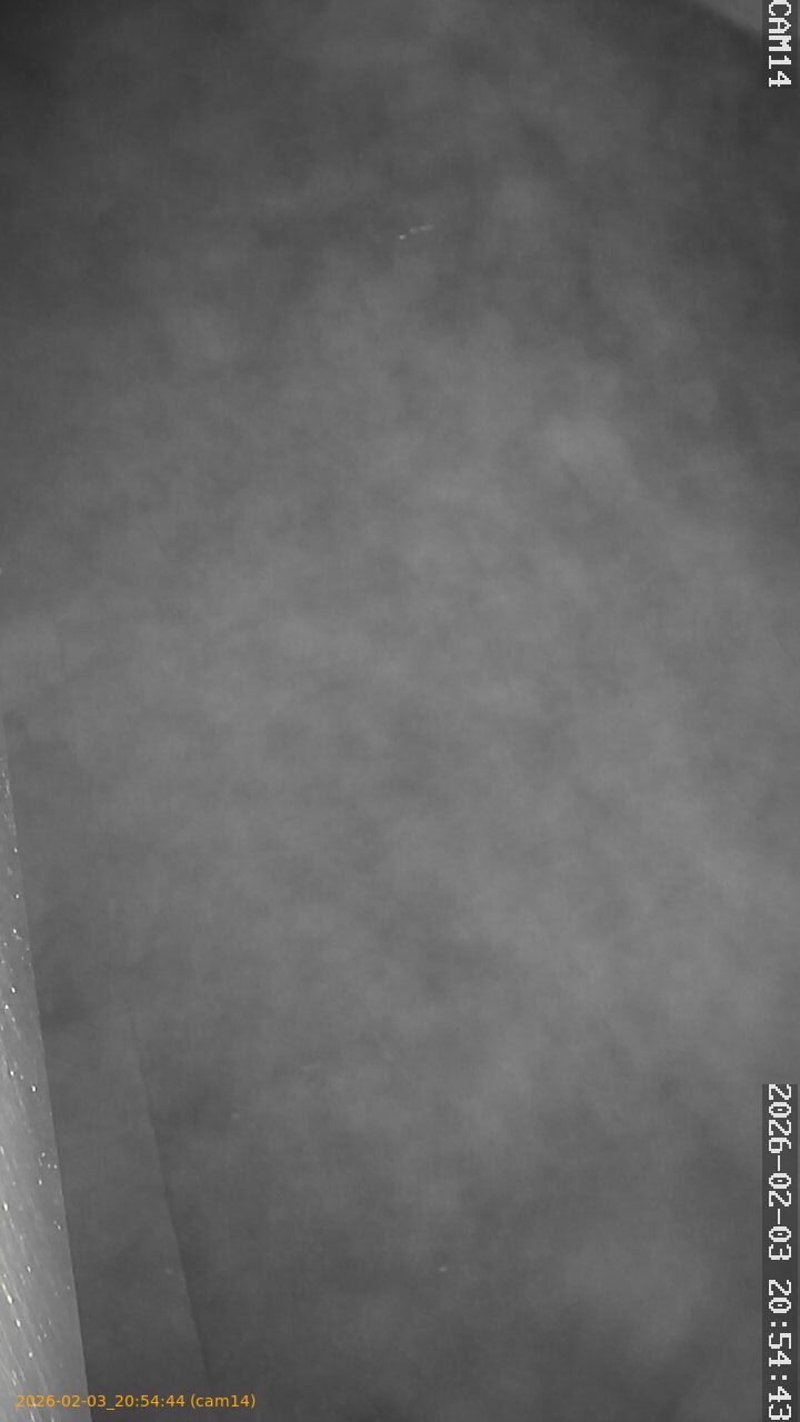 thumbnail_20260203205444