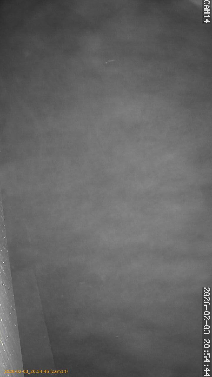 thumbnail_20260203205445