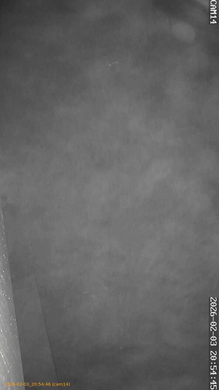 thumbnail_20260203205446