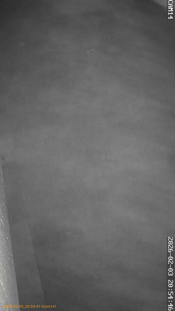 thumbnail_20260203205447