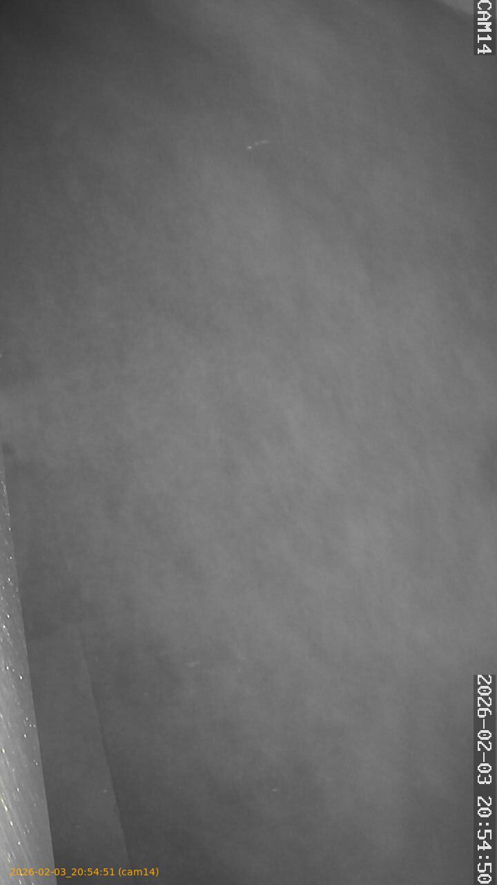 thumbnail_20260203205451