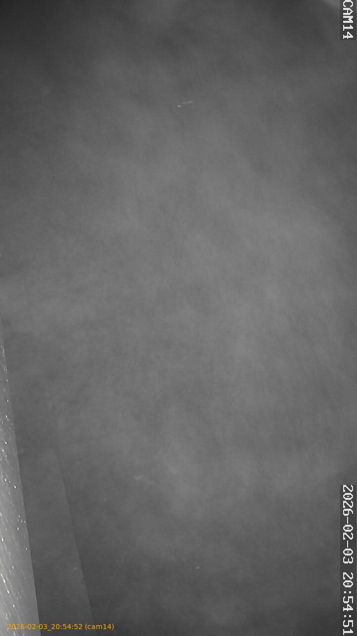 thumbnail_20260203205452