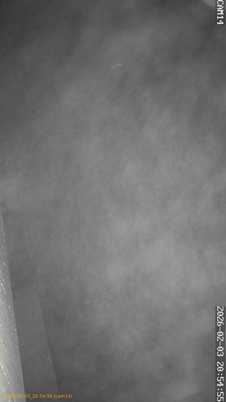 thumbnail_20260203205456