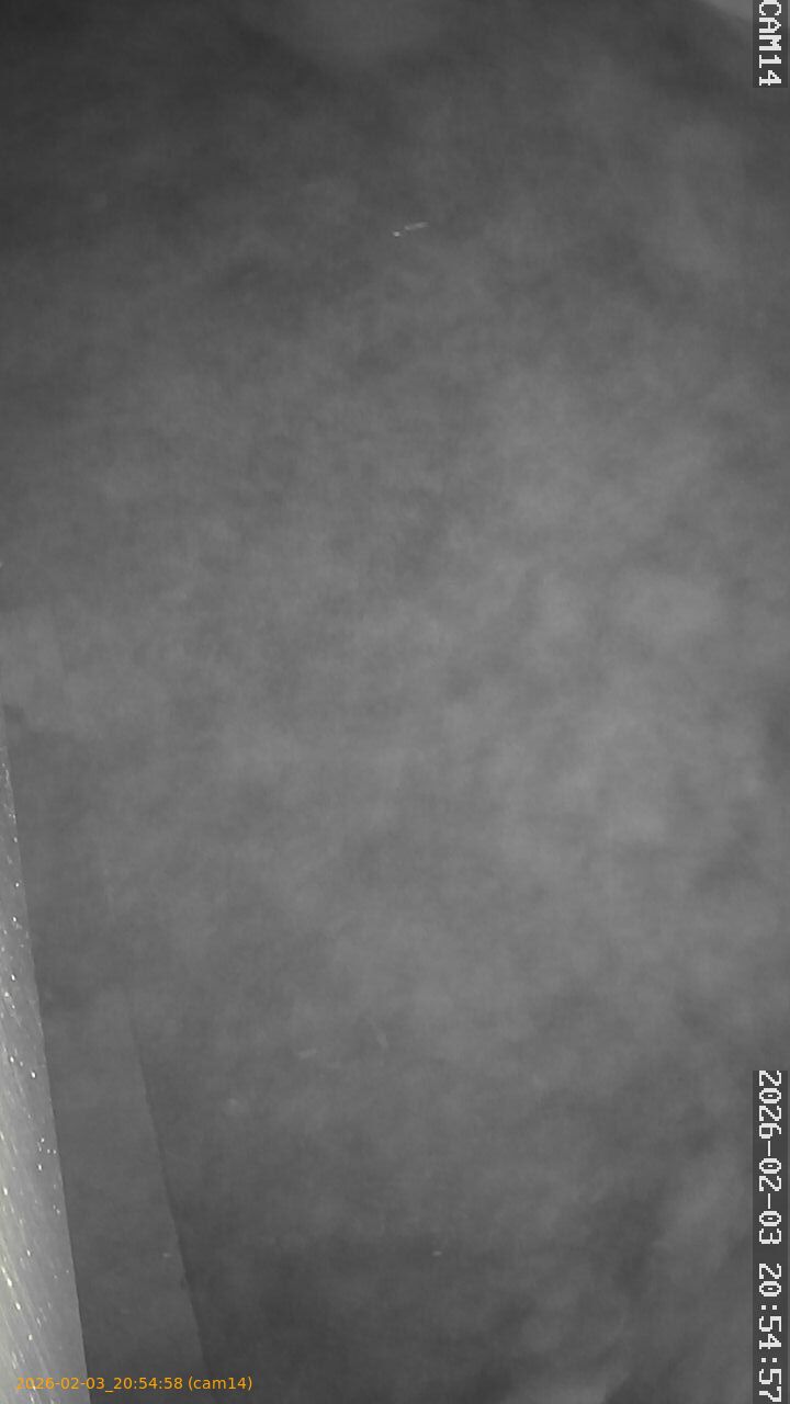 thumbnail_20260203205458