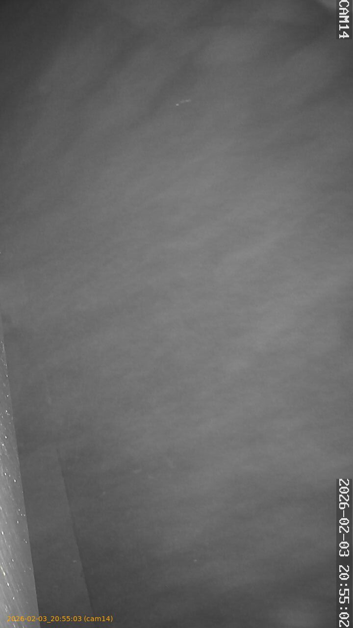 thumbnail_20260203205503