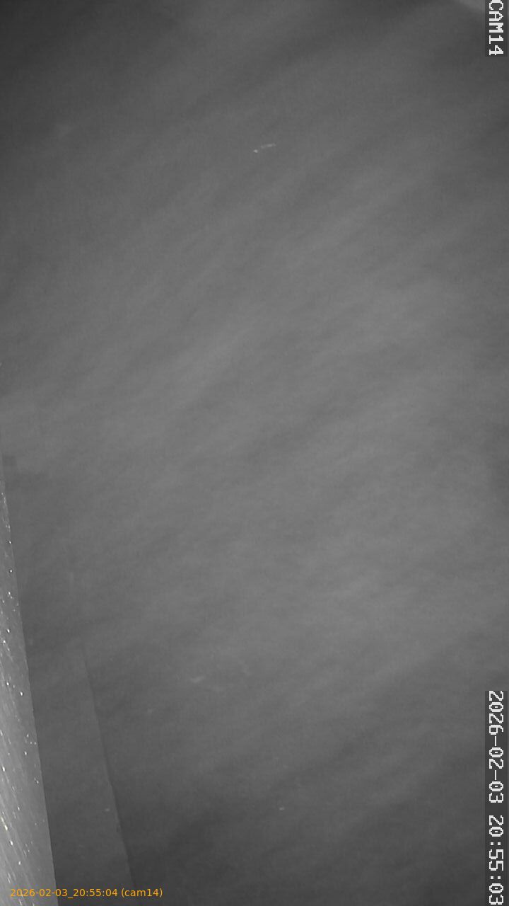 thumbnail_20260203205504