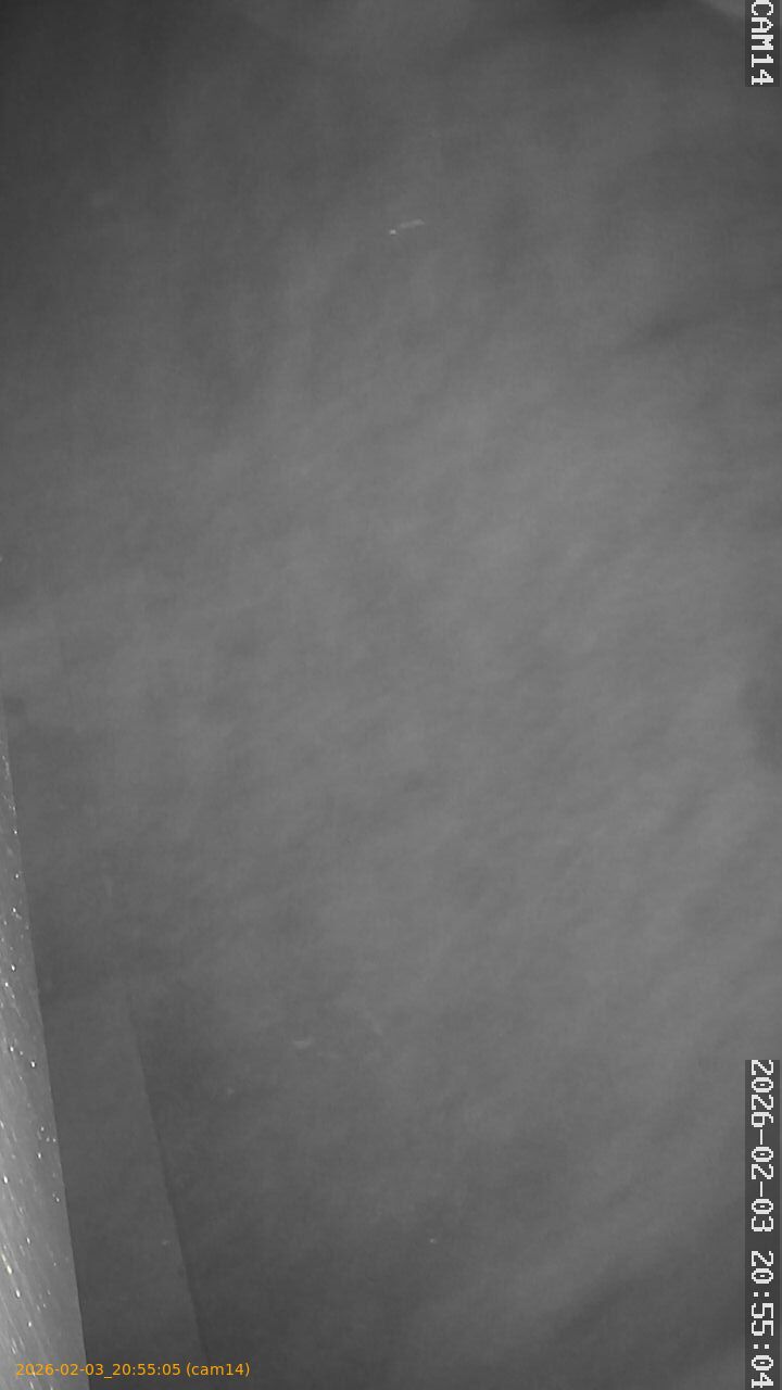 thumbnail_20260203205505