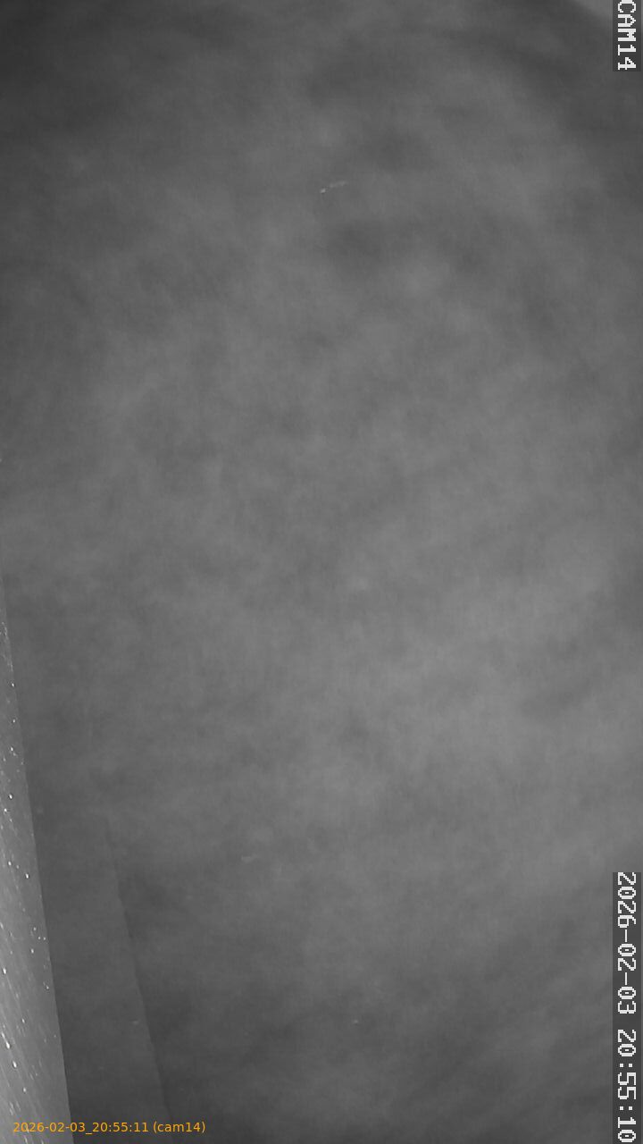 thumbnail_20260203205511